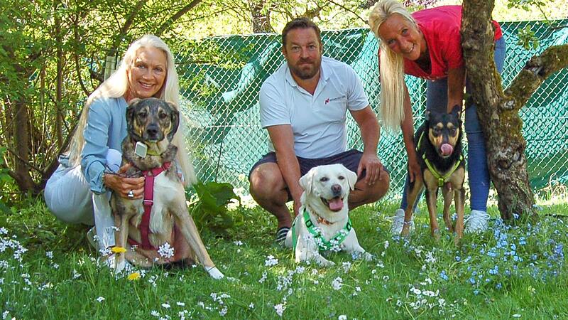 Carmen Baur, Karsten Klanke, Sabine Haberzettl mit den Hunden Mostie, Juna und Bluline.Forchheim & Fr&auml;nkische Schweiz