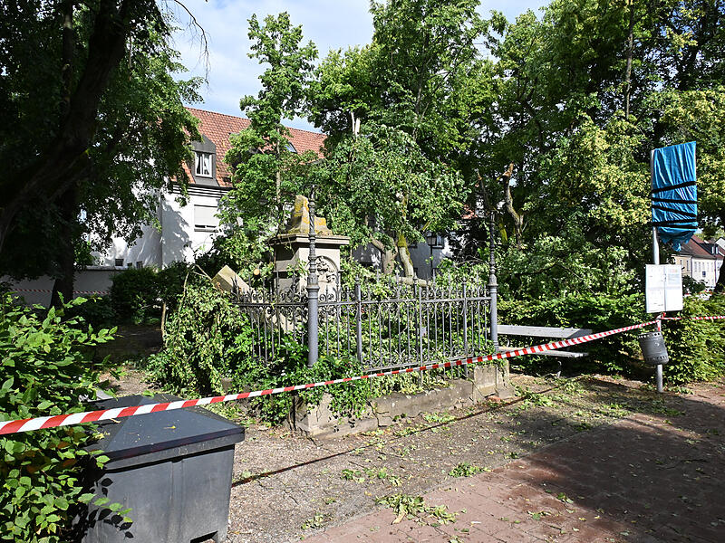 Sturmschäden LaurenziplatzSturmschäden am Laurenziplatz u.a.