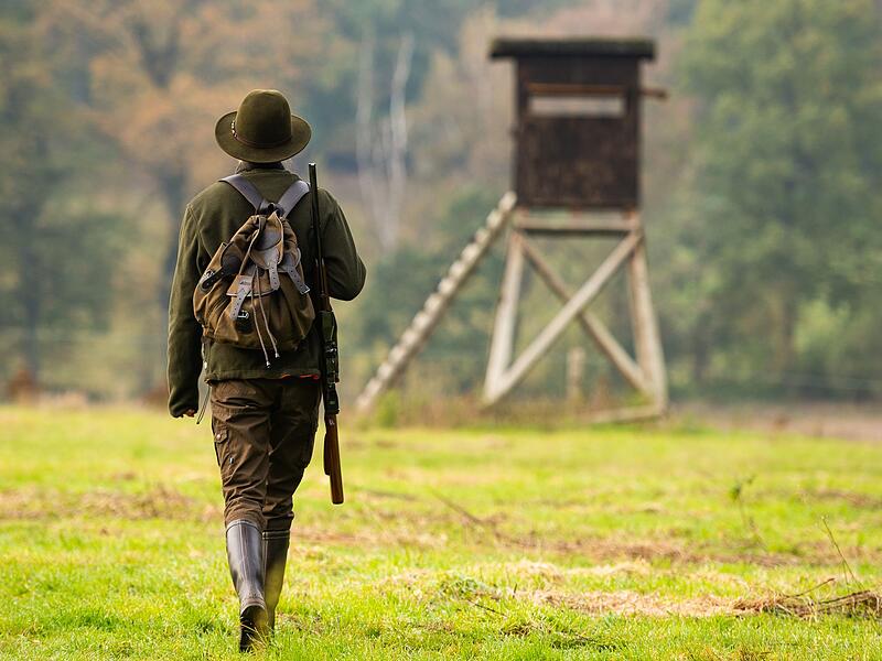 W&ouml;lfe stehen jetzt im Jagdgesetz