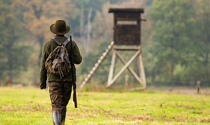 W&ouml;lfe stehen jetzt im Jagdgesetz
