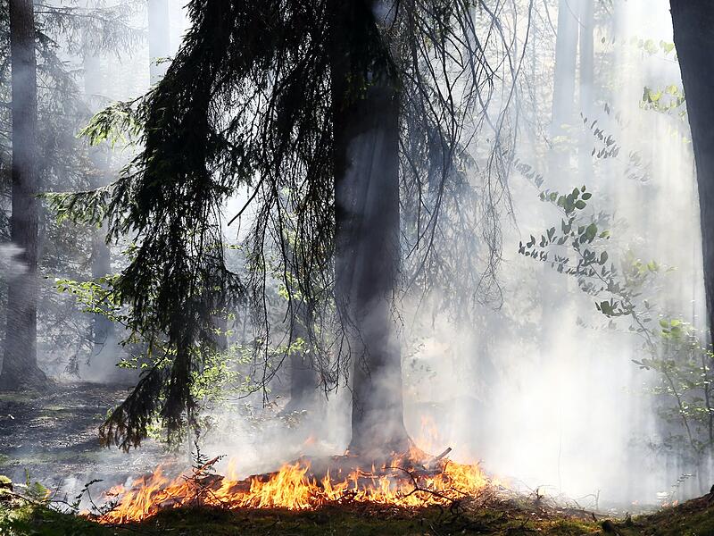 Größter Waldbrand seit über zehn Jahren in Unterfranken: 25.000 Quadratmeter Wald standen am 23. Juni 2022 westlich von Aschaffenburg zwischen Stockstadt und Babenhausen in Flammen.