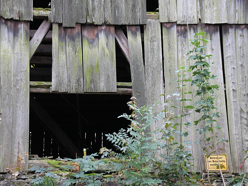 K&ouml;nnen Sie hier ein Gesicht erkennen?