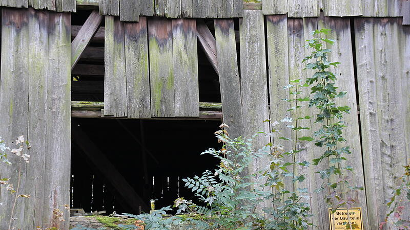 K&ouml;nnen Sie hier ein Gesicht erkennen?