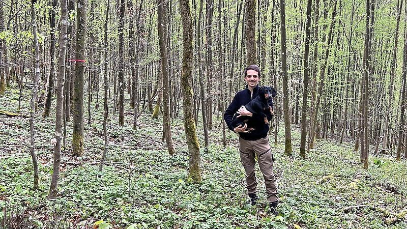 In diesem Waldgebiet sieht F&ouml;rster Bastian Ehrenfels Handlungsbedarf: Hier stehen gleichaltrige Hainbuchen, Eichen und Feldahorne aus Naturverj&uuml;ngung. Er w&uuml;nscht sich &uuml;berall B&auml;ume unterschiedlicher Art und Gr&ouml;&szlig;e, die dem Sailersh&auml;user Wald Stabil...