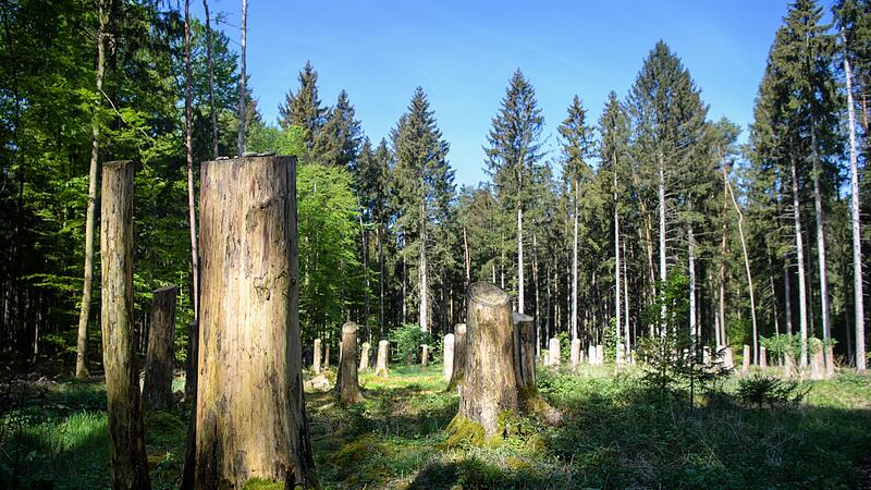 Mühldorfer Hart