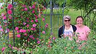 Im Rosenpavillon von Sonja (l.) und Corinna Flieger. Im Rosenpavillon von Sonja (l.) und Corinna Flieger.