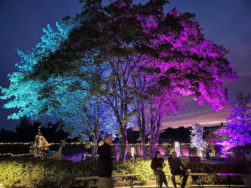Teuschnitz: Kräutergarten leuchtetDer Kräutergarten Teuschnitz wird zum Lichtermeer Teuschnitz: Kräutergarten leuchtetDer Kräutergarten Teuschnitz wird zum Lichtermeer