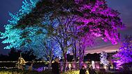 Teuschnitz: Kr&auml;utergarten leuchtetDer Kr&auml;utergarten Teuschnitz wird zum Lichtermeer