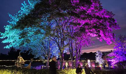 Teuschnitz: Kr&auml;utergarten leuchtetDer Kr&auml;utergarten Teuschnitz wird zum Lichtermeer