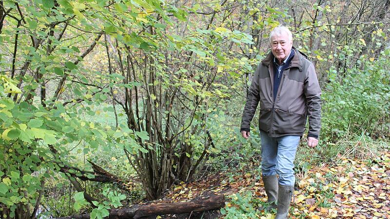 Volker Germann an der Stelle des Zufahrtsdammes zum Wei&szlig;fichtensee, wo der Biber bereits ganze Arbeit geleistet und einen Tunnel gegraben hat.