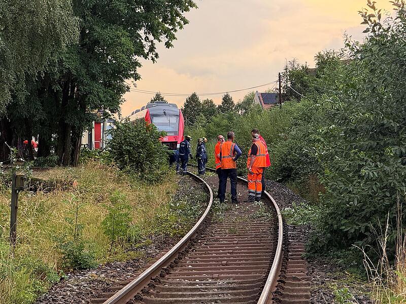 Kalchreuth: Kollision von Zug mit Baum