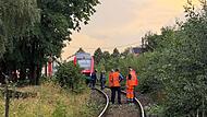 Kalchreuth: Kollision von Zug mit Baum Kalchreuth: Kollision von Zug mit Baum
