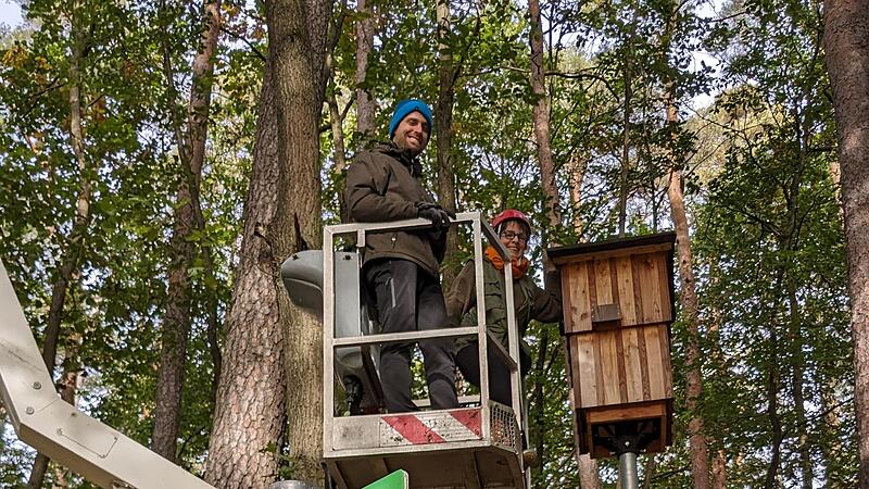 Die „Wohnungen“ werden gut angenommen.Forchheim & Fränkische Schweiz