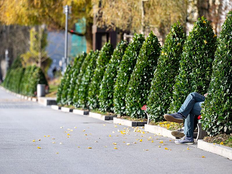 Herbst in Passau Herbst in Passau