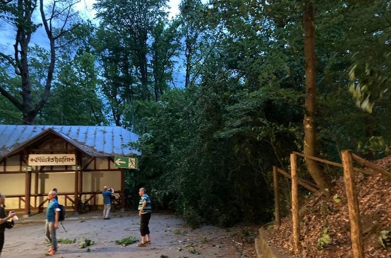 Im Kellerwald st&uuml;rzte ein Baum auf ein geparktes Auto.Forchheim & Fr&auml;nkische Schweiz