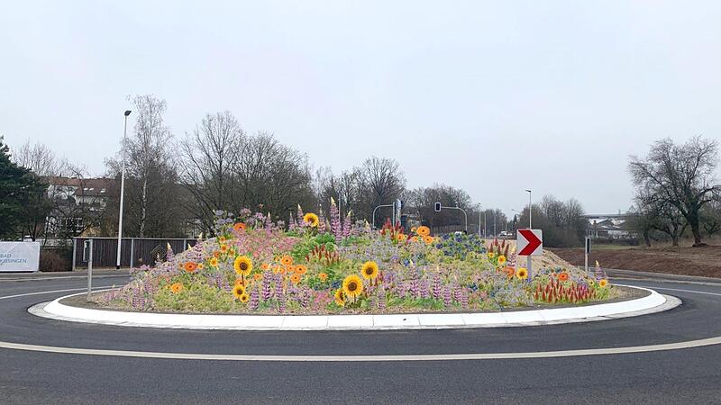 Der Garitzer Kreisel soll nach Wunsch der B&uuml;rgerinnen und B&uuml;rger mit bienenfreundlichen Blumen bepflanzt werden &ndash; das geht aus der Online-Ideenkarte des Landkreises hervor.