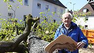 Am Mittwochmorgen beobachteten Wilhelm Schafarczyk und weitere Anwohner, wie ein Spitzahorn und eine Winter-Linde in der Straße Am Lindenanger, unweit des Alten Friedhofs, gefällt wurden.Forchheim & Fränkische Schweiz