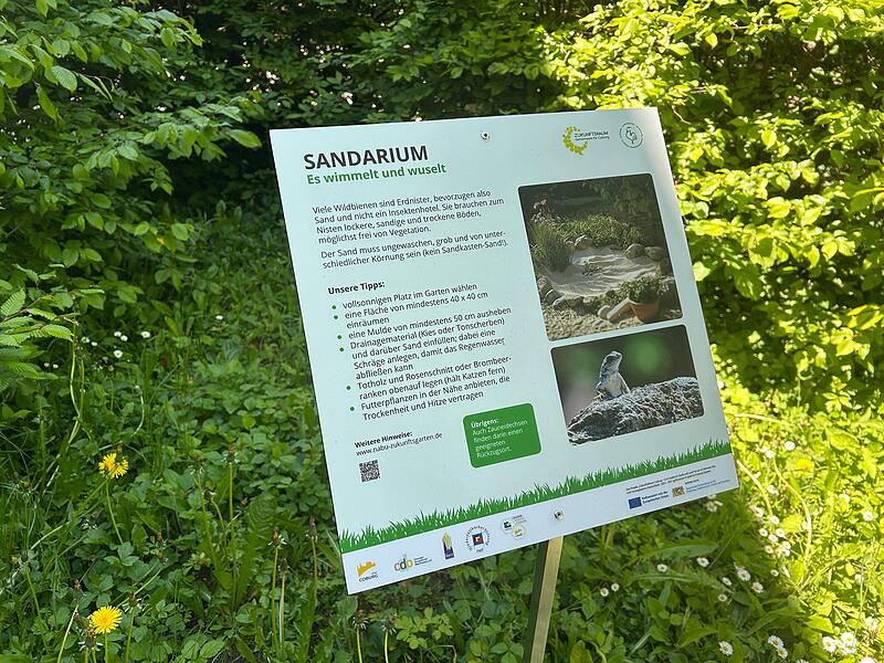 Zeigen, wie leicht Naturschutz sein kann: Contakt-Garten in Coburg eröffnet