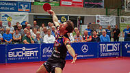 Bastian Steger