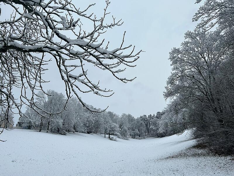 Spaziergang durch den verschneiten Hofgarten in Coburg