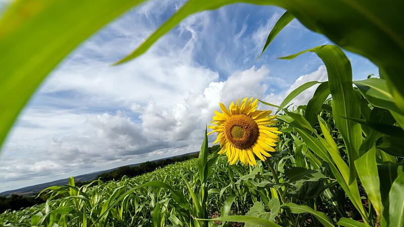 Wetter in Bayern Wetter in Bayern