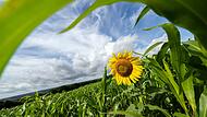 Wetter in Bayern