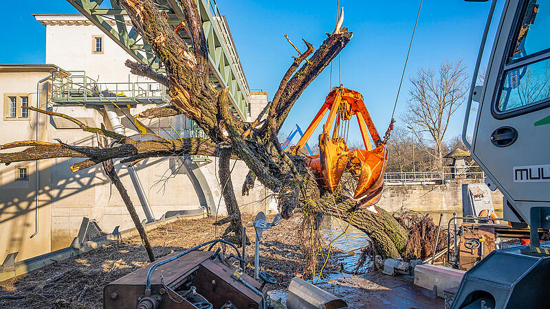 Nach Hochwasser: Gro&szlig;e Mengen Treibgut aus Schleuse Viereth gebaggertSchleuse Viereth Hochwasser 2024