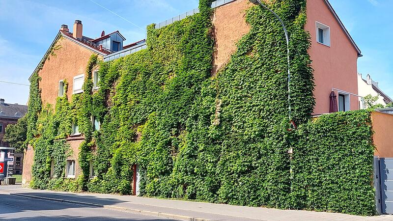 Vereinzelt sind in Bamberg bereits begr&uuml;nte Fassaden zu sehen.