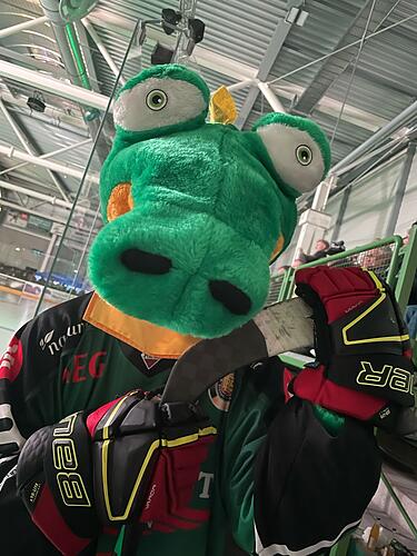 Schnabbers: Höchstadt Alligators