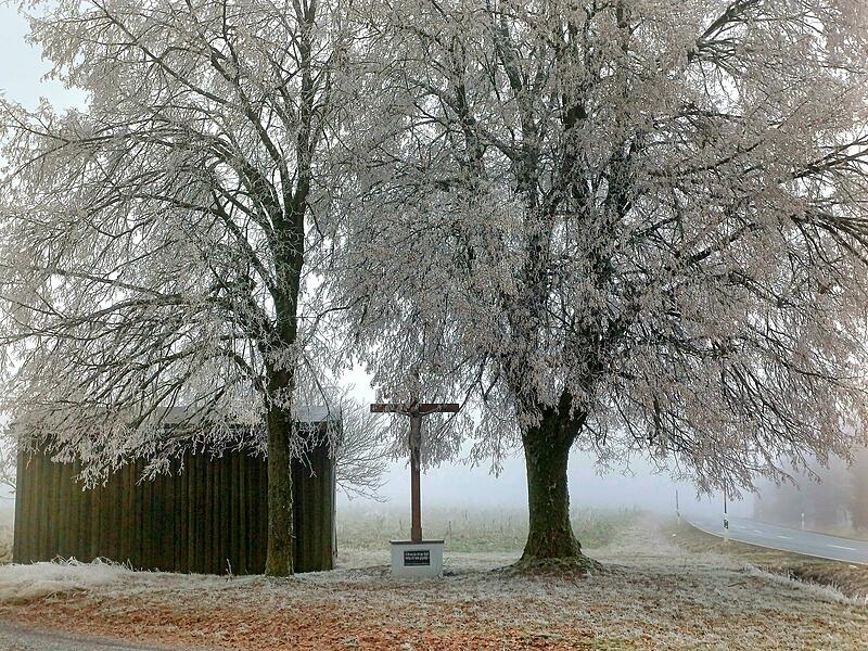 Leserfotos Dezember 2025Leserfotos Dezember 2025