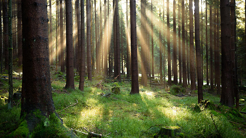 Wildes Campen im Frankenwald ist verboten. Alternative: Trekkingpl&auml;tze