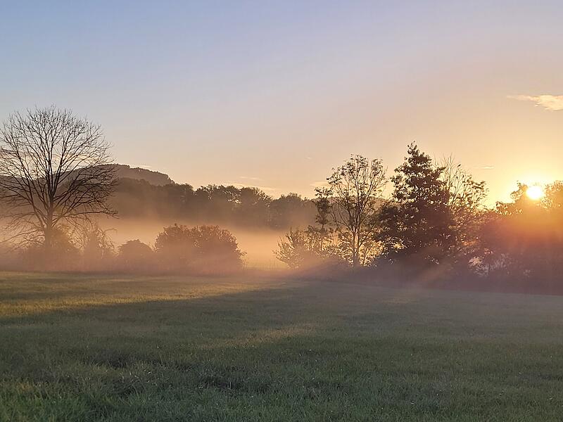 Der Nebel und die Morgensonne verzaubern die Landschaft in eine mystische Kulisse: Der Herbst naht in Untereschenbach.
