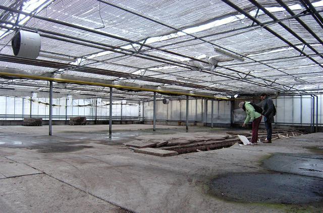 In einer gut drei Hektar gro&szlig;en ehemaligen G&auml;rtnerei am Rand der M&uuml;nnerst&auml;dter Altstadt findet vom 29. April bis 30. Juli das soziokulturelle Projekt &bdquo;else!3&ldquo; statt.