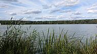 Dechsendorfer Weiher