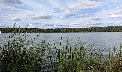 Dechsendorfer Weiher
