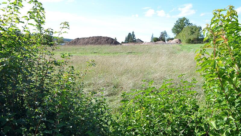 Blick durch die Friedhofshecke in Dietersdorf. Die angrenzende Wiese soll Ausgleichsfläche werden. Blick durch die Friedhofshecke in Dietersdorf. Die angrenzende Wiese soll Ausgleichsfläche werden.