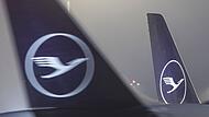 Lufthansa-Jets am Flughafen Frankfurt/Main Lufthansa-Jets am Flughafen Frankfurt/Main