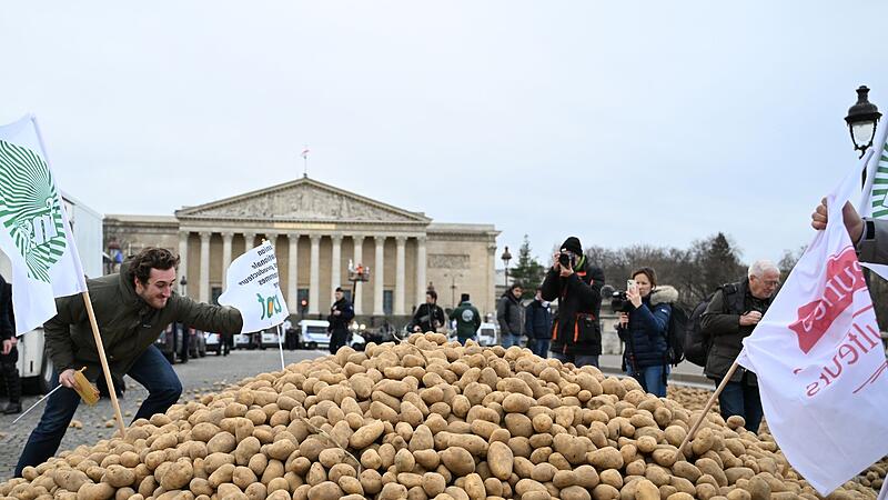 Bauern protestieren mit Hunderten Traktoren in Paris