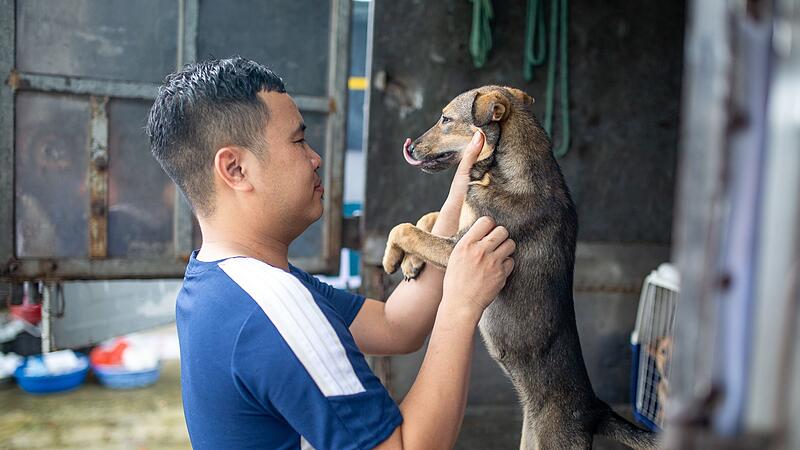 Hundefleischhandel in Vietnam