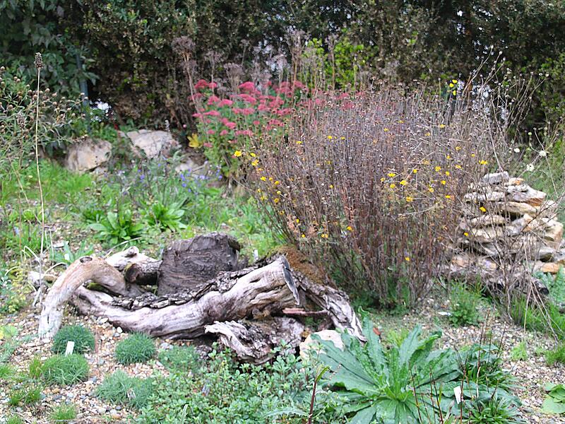 Veronika Müller hat in ihrem Garten eine Vielzahl an Beeten angelegt. Veronica Müller hat in ihrem Garten eine Vielzahl an Beeten angelegt.