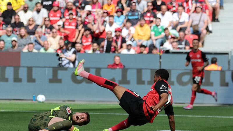 Bayer Leverkusen - Borussia Dortmund Bayer Leverkusen - Borussia Dortmund