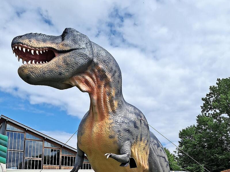 Noch bis Pfingstmontag ist die Ausstellung &bdquo;Jurassic Freizeitparkt XXL &ndash; Giganten der Urzeit&ldquo; in Lichtenfels zu sehen.