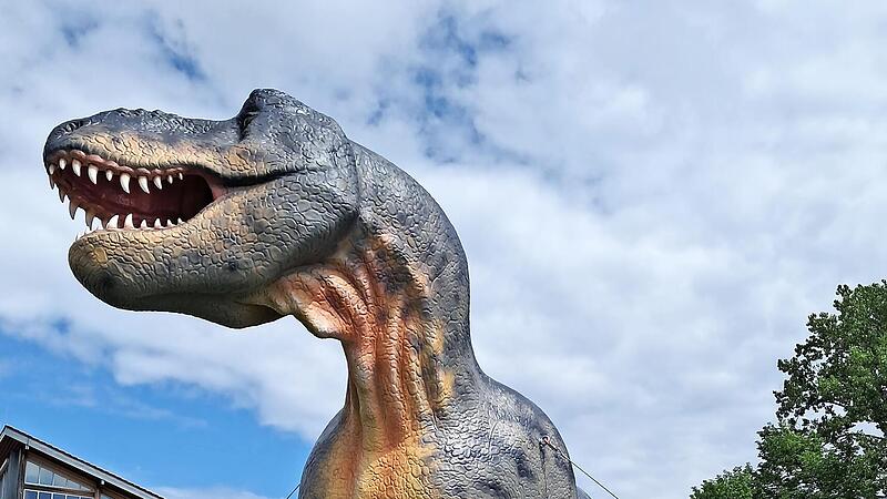 Noch bis Pfingstmontag ist die Ausstellung &bdquo;Jurassic Freizeitparkt XXL &ndash; Giganten der Urzeit&ldquo; in Lichtenfels zu sehen.