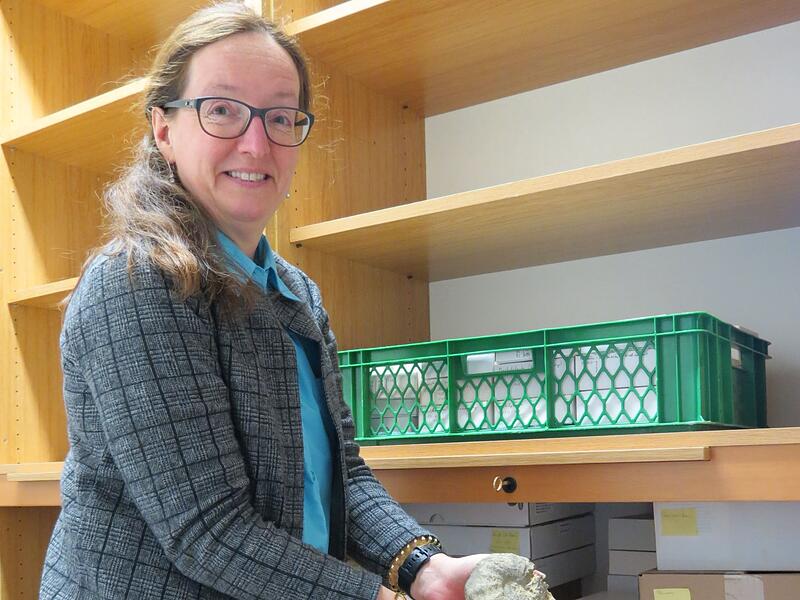 Museum Terra Triassica Museum Terra Triassica