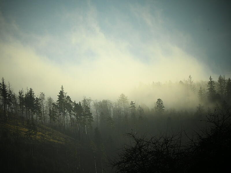 Leserfotos Dezember 2025Leserfotos Dezember 2025