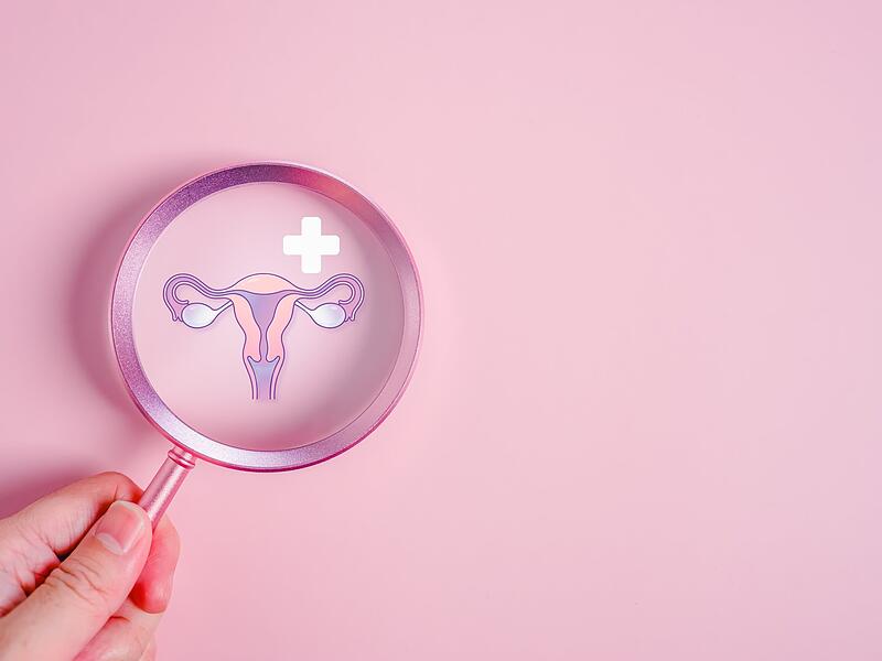 Einem medizinischen R&auml;tsel auf der Spur: Zwei Wissenschaftlerinnen in Coburg wollen die Behandlung von Endometriose und Adenomyose verbessern und haben Erstaunliches herausgefunden.