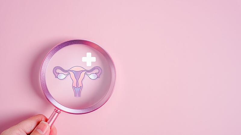 Einem medizinischen R&auml;tsel auf der Spur: Zwei Wissenschaftlerinnen in Coburg wollen die Behandlung von Endometriose und Adenomyose verbessern und haben Erstaunliches herausgefunden.