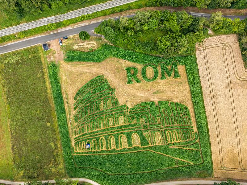 Labyrinth im Pflanzenfeld