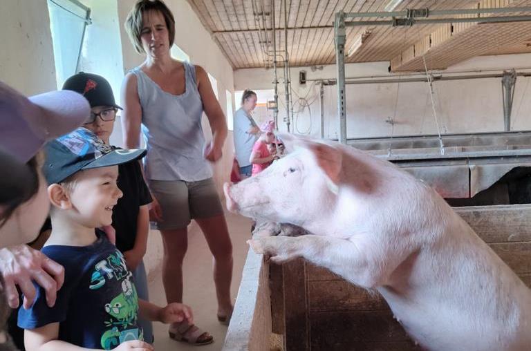 Viel Spaß hatten die Kinder vom „Kinderhaus Kunterbunt“ in Ramsthal beim Besuch auf dem Ökohof Kaufmann. Viel Spaß hatten die Kinder vom „Kinderhaus Kunterbunt“ in Ramsthal beim Besuch auf dem Ökohof Kaufmann.
