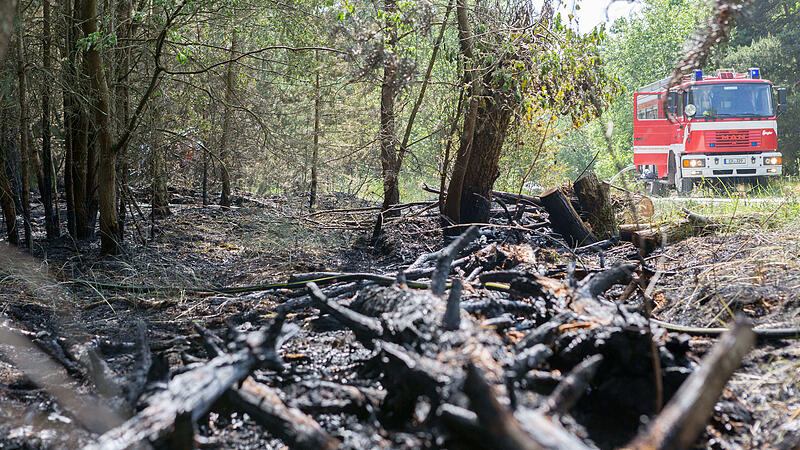 Verkohlte Reste: Der Waldbrand im Tennenloher Forst hat viel Schaden angerichtet.